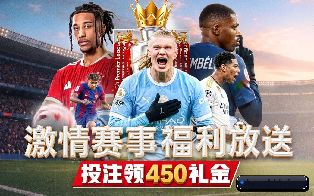必赢官网贴合重度球迷盯盘直觉锻造的服务生态 - 多运动项目内容板块